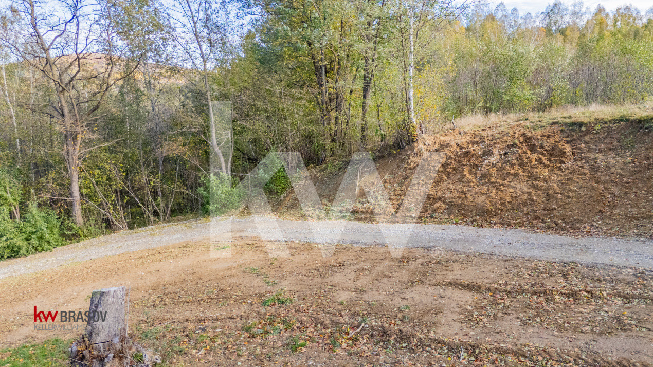 Vanzare teren intravilan 37723 mp Zarnesti Tohanita