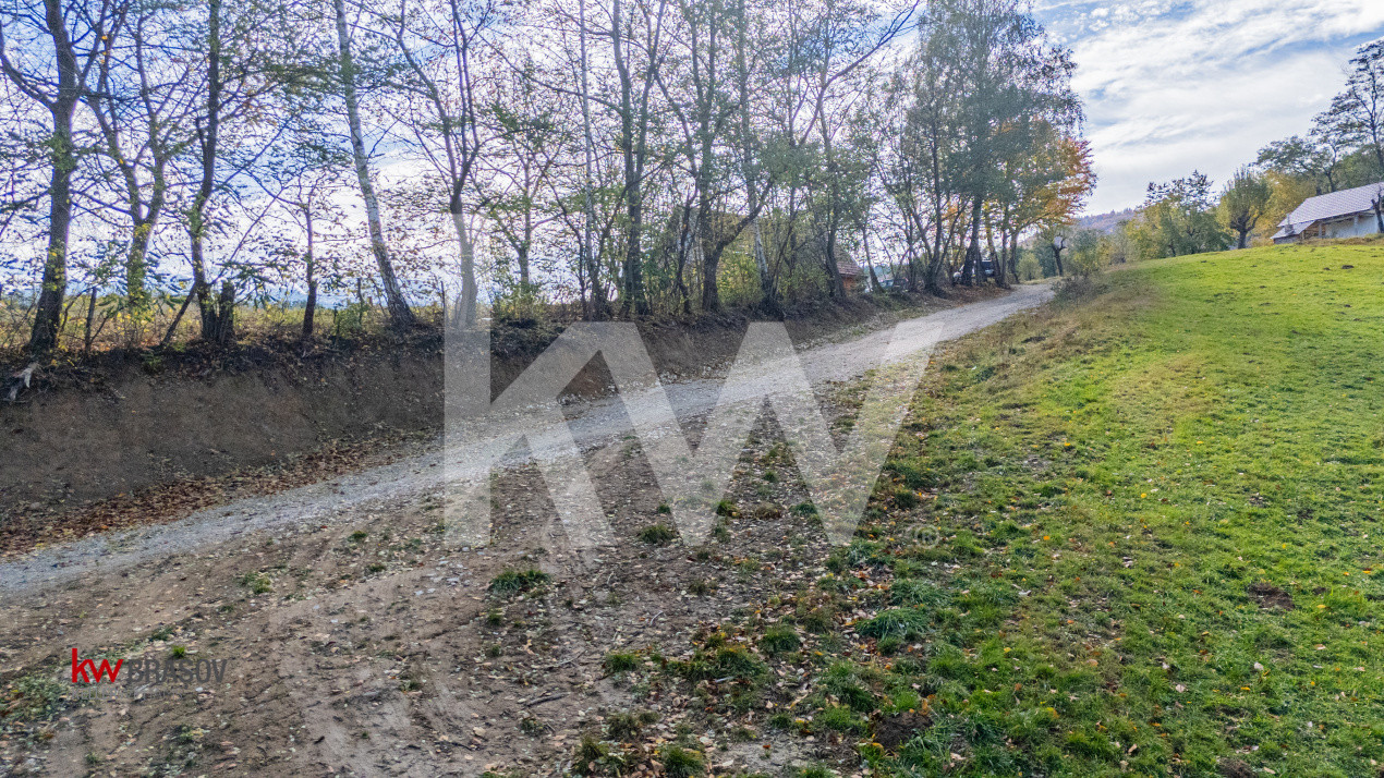 Vanzare teren intravilan 37723 mp Zarnesti Tohanita