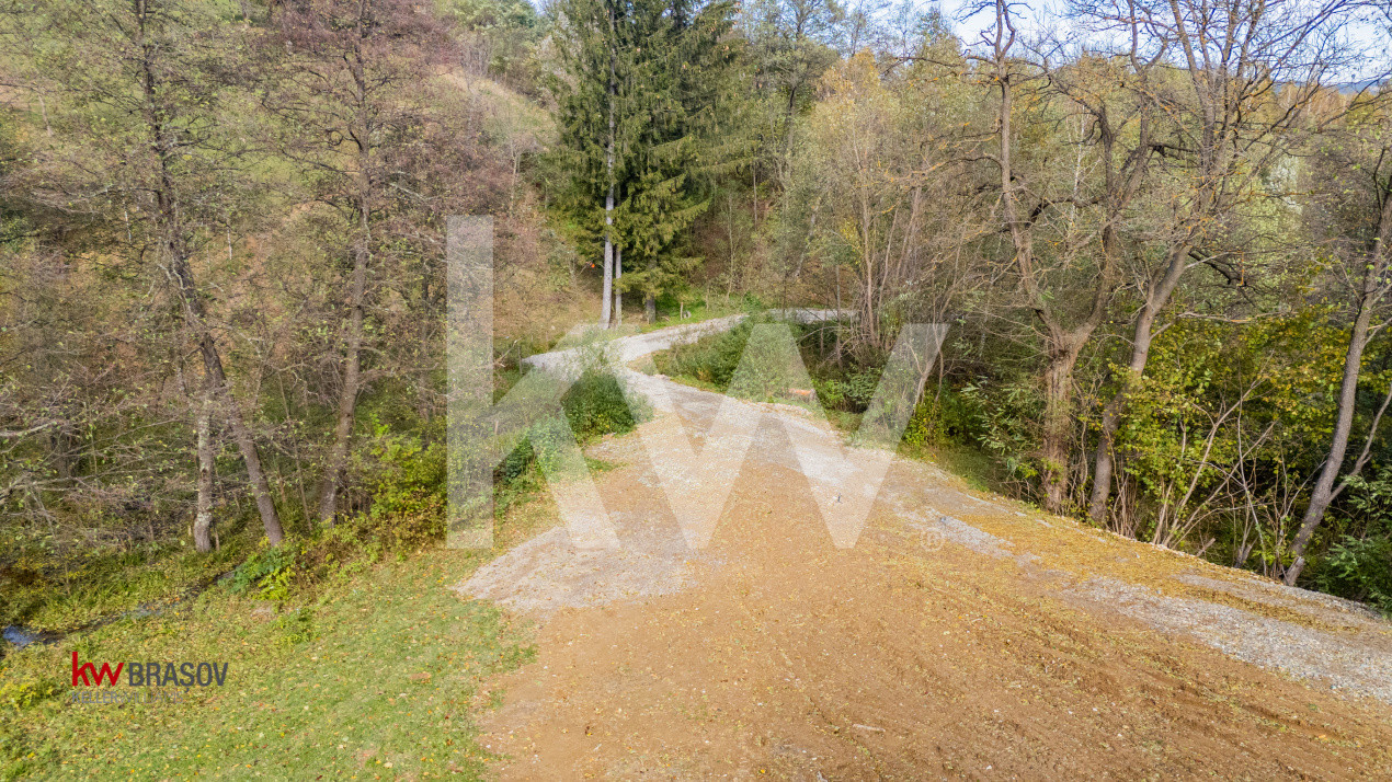 Vanzare teren intravilan 37723 mp Zarnesti Tohanita