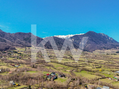 Vanzare teren intravilan 37723 mp Zarnesti Tohanita
