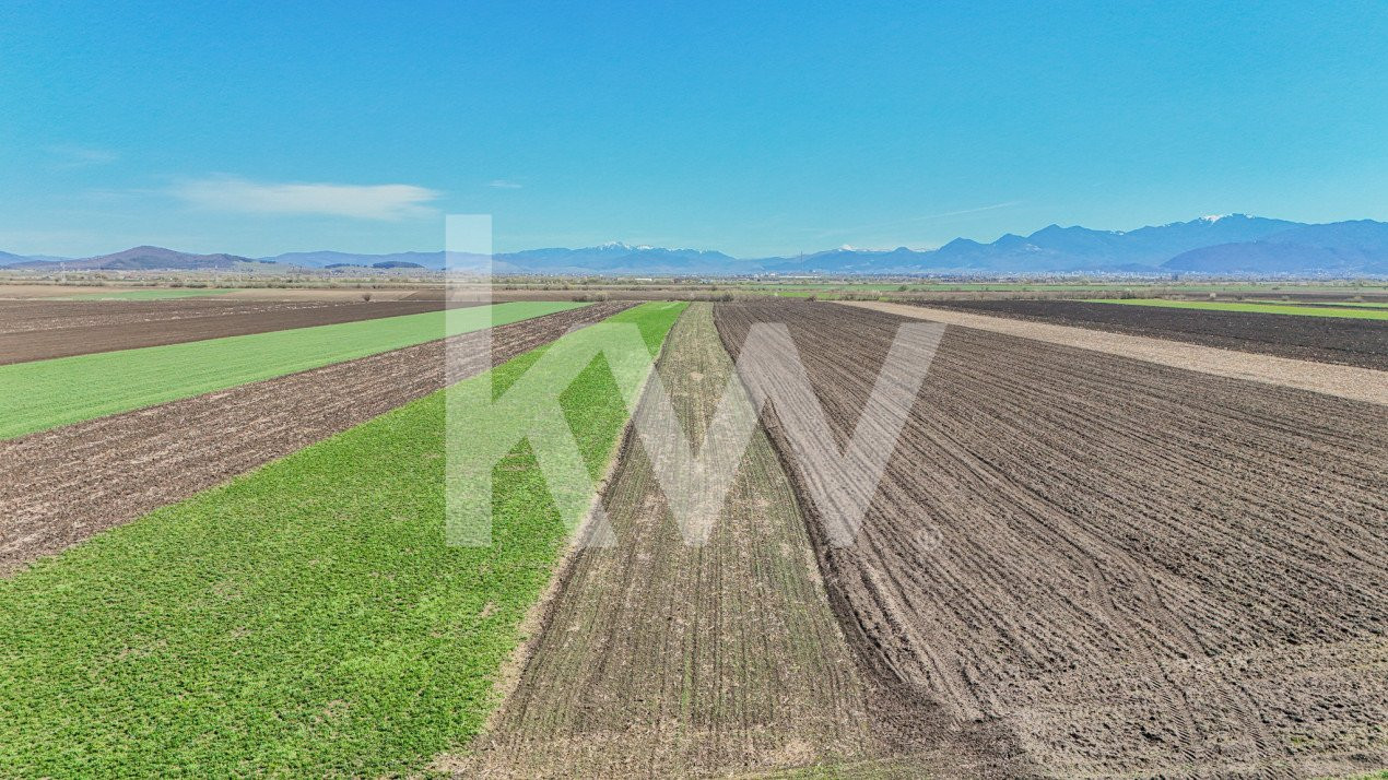 Vanzare teren extravilan agricol Halchiu 15000mp