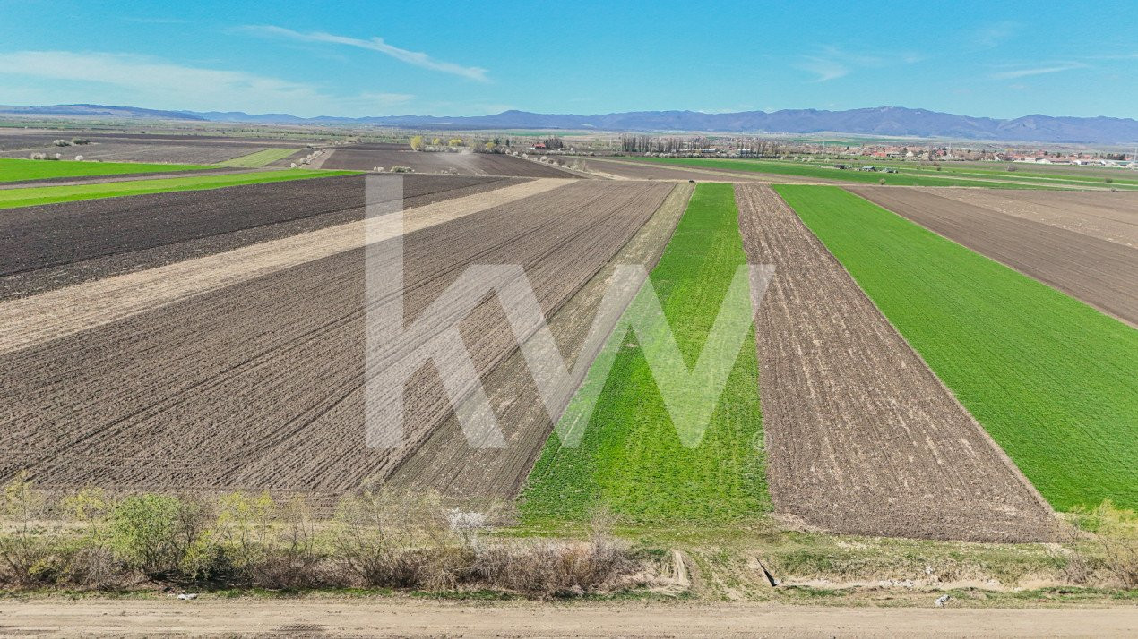 Vanzare teren extravilan agricol Halchiu 15000mp