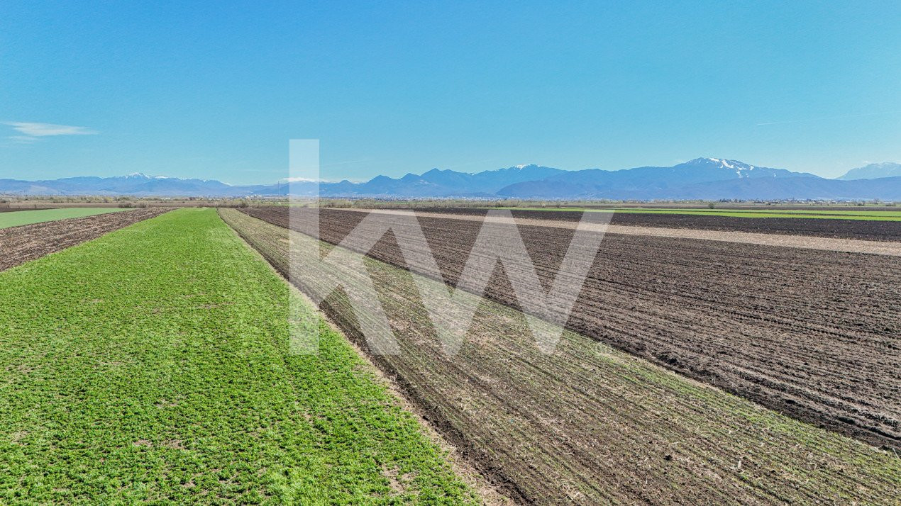 Vanzare teren extravilan agricol Halchiu 15000mp