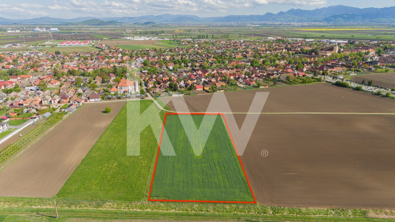 PUZ în lucru - Teren de 10.000 mp, Strada Bisericii din Hălchiu!