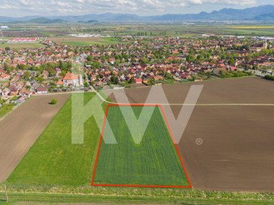 PUZ în lucru - Teren de 10.000 mp, Strada Bisericii din Hălchiu!