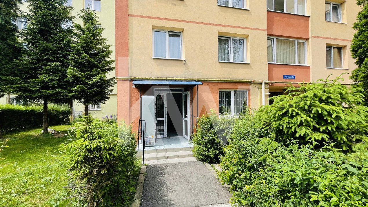 Inchiriere- Spatiu Comercial