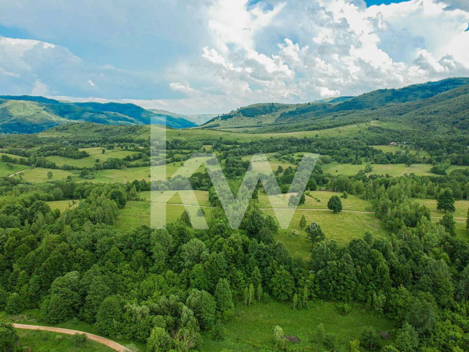 Teren în inima naturii, ideal pentru cabane tip glamping, Șinca Nouă