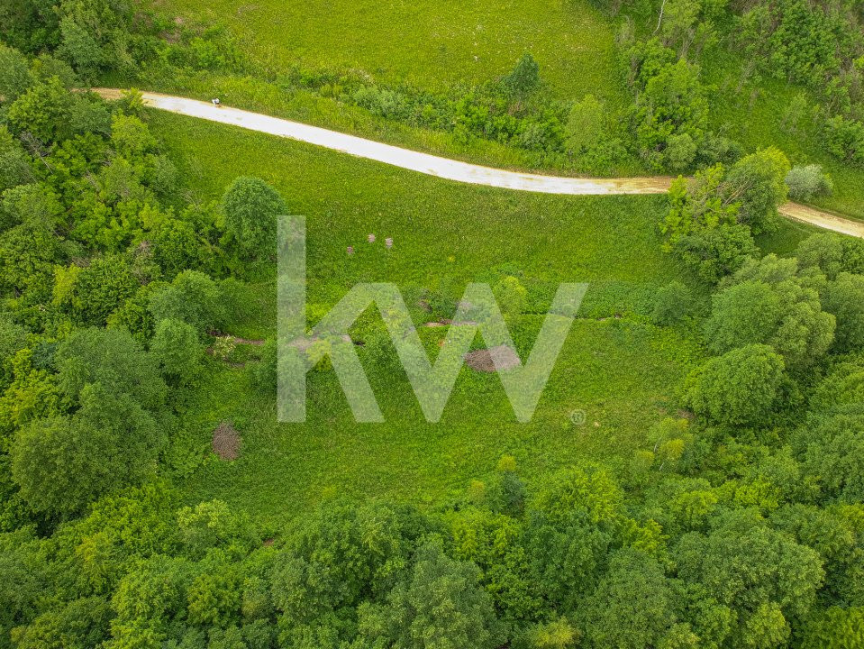 Teren în inima naturii, ideal pentru cabane tip glamping, Șinca Nouă
