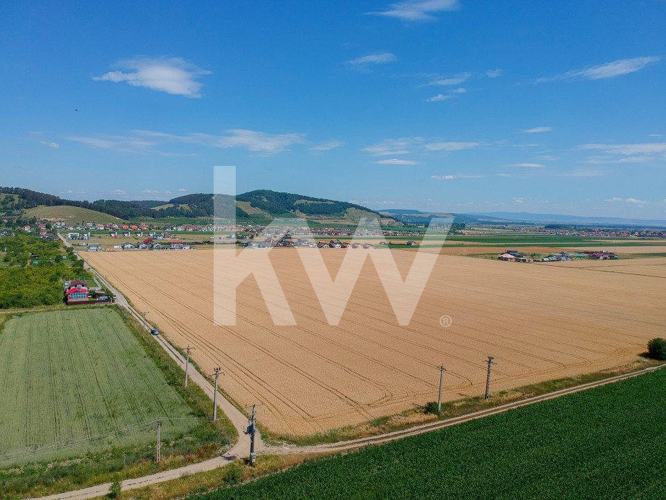 Teren Extravilan Sanpetru! Ideal pentru Investitie! - 9300 mp!