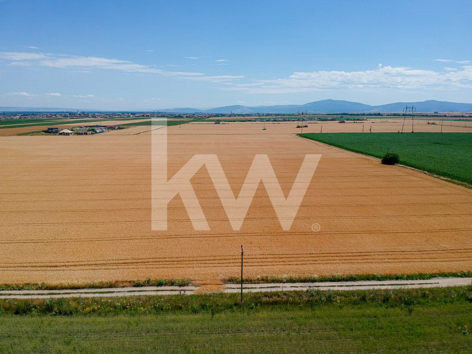 Teren Extravilan Sanpetru! Ideal pentru Investitie! - 9300 mp!