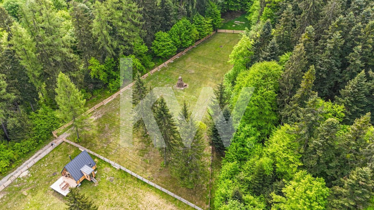 OPORTUNITATE!!!! Teren imprejmuit de padure locatie vis Vulcan 