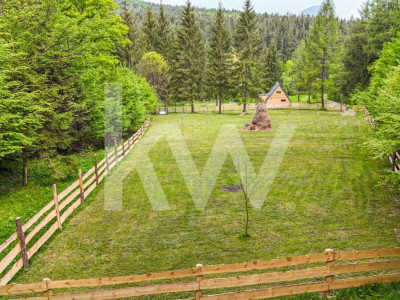 OPORTUNITATE!!!! Teren imprejmuit de padure locatie vis Vulcan 